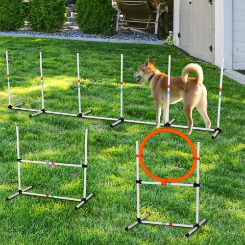 3PC Dog Agility Equipment Set – Obstacle Course Training Exercises for Dogs