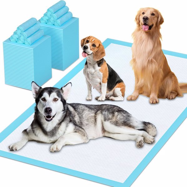 40-Pack Dog Urine Pads – Ultra-Absorbent Training Pads for Dogs, Fast Shipping via Amazon Logistics