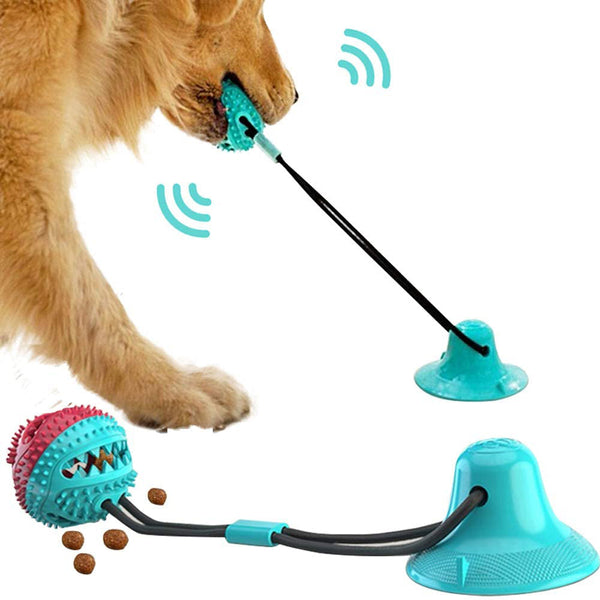 Silicon Suction Cup Tug Dog Toy