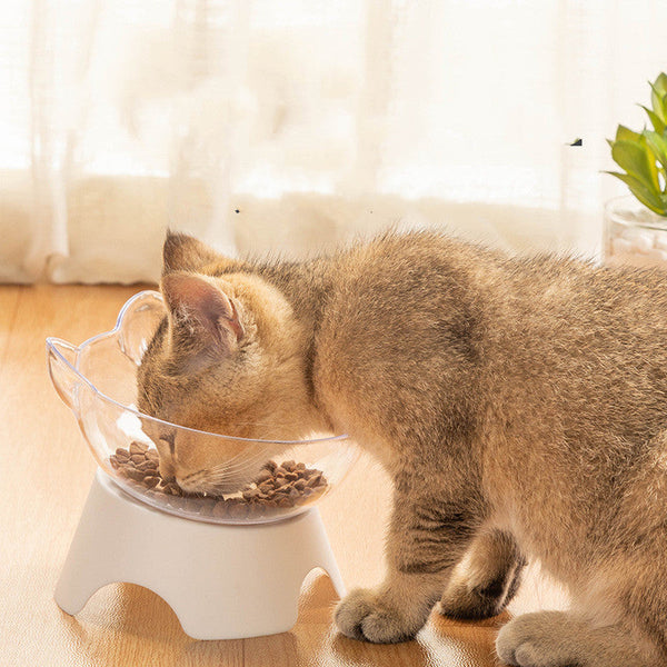 Non-slip Cat Bowl